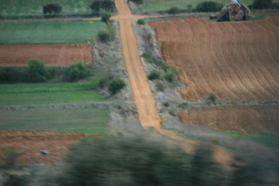 "En el camino 2" de Alberto Gonzlez