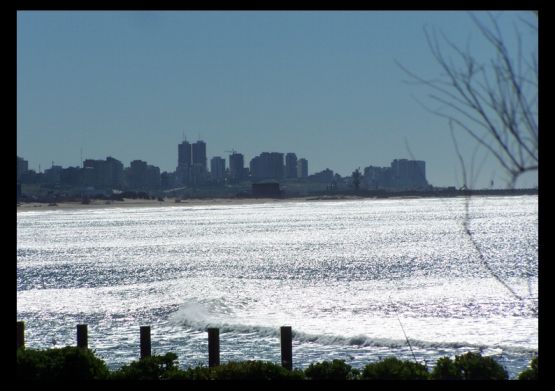 "Mar del Plata otoal" de Carmen Nievas