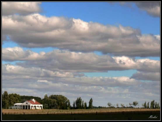 "La finca..." de Roberto Di Siervi