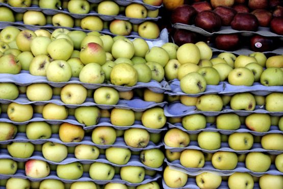 "Manzanas" de Pejuta Grnstein