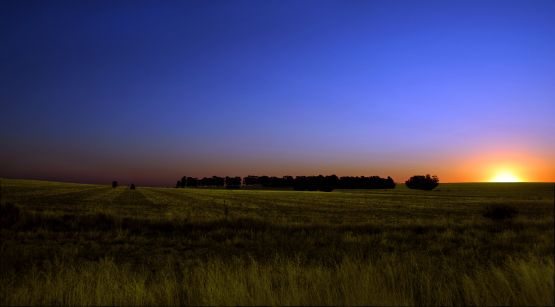 "`Campo`" de Jorge A. Cceres