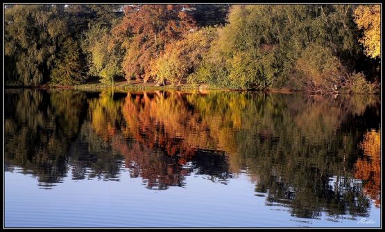 "Reflejos de otoo" de Roberto Di Siervi