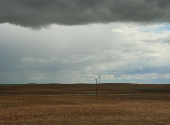 "Campos de Castilla" de Alberto Gonzlez