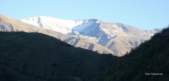 "paisaje salteo." de Ana Llaneras.