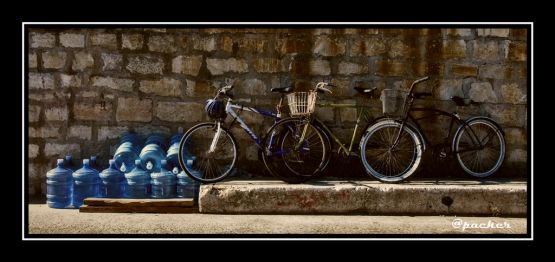 "bici" de Patricia Ackerman