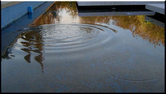 "Reflejos y Ondas de Otoo" de Csar Manrique