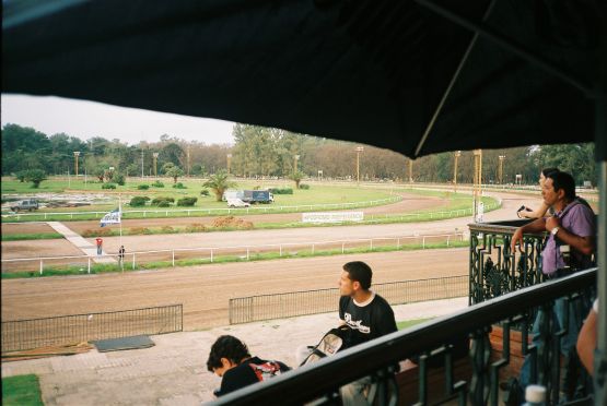 "hipodromo" de Alicia Tiziano