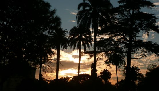 "diversas siluetas al amanecer" de Noemi Gomez