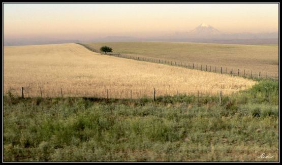 "Patagonia..." de Roberto Di Siervi