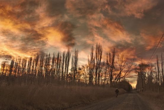 "` Chacras-Camino principal`" de Jorge A. Cceres