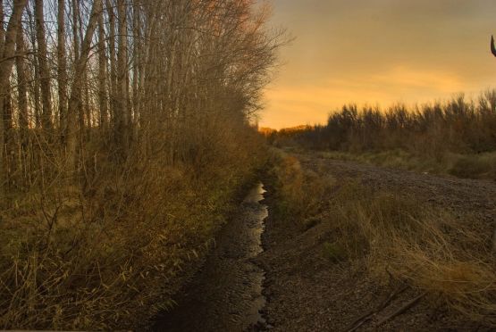 "`Acequia`" de Jorge A. Cceres