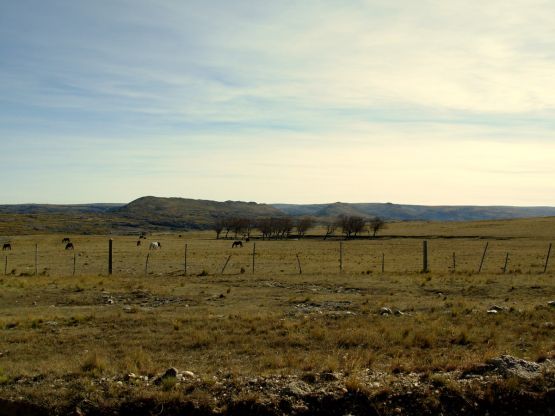 "Caballos en la Pampa de Achala" de Jorge Berterretch