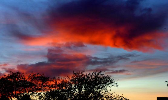 "amanecer de hoy" de Noemi Gomez