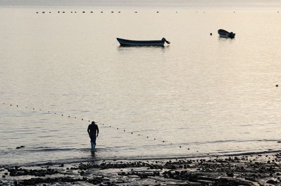 "Pescador" de Sergio Levin