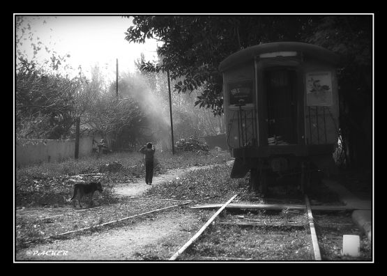 "tren cine" de Patricia Ackerman