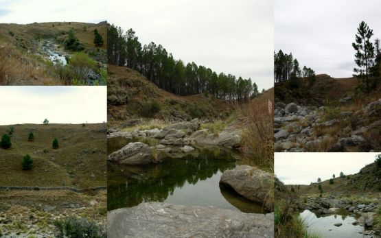 "Rio El Durazno.Valle de Calamuchita." de Jorge Berterretch