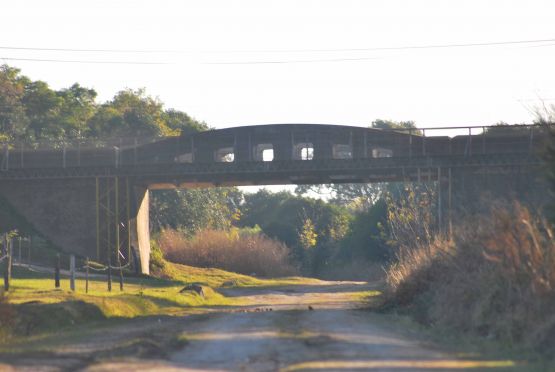 "Puente en Victoria" de Daniel Omar Alamo