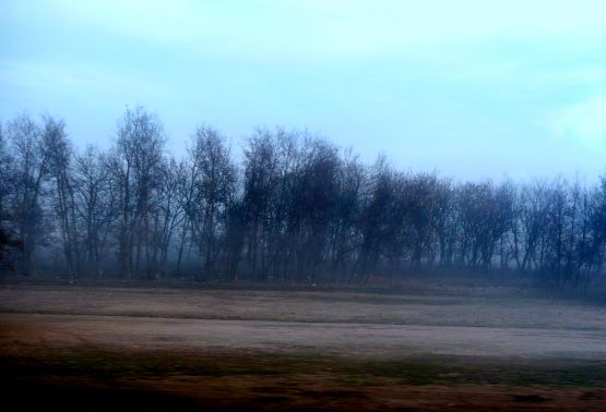 "entre niebla y heladas" de Noemi Gomez