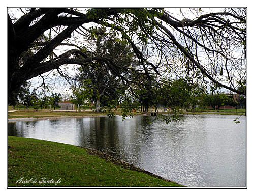 "el parque Garay" de Ariel Dario Albamonte