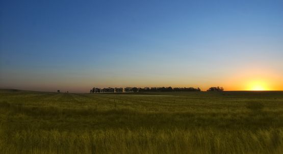 "Atardecer en el camino" de Jorge A. Cceres