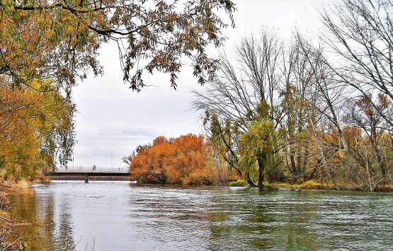 "Puente entre colores" de Martha A. Moreschi