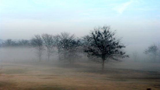 "volvio la neblina" de Noemi Gomez