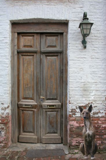 "El Guardian" de Miguel Nicolini