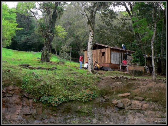 "Construyendo en la selva Misionera" de Roberto Di Siervi