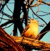 observando el atardecer....