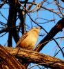 observando el atardecer 2