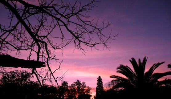 "ocaso diferente...." de Noemi Gomez