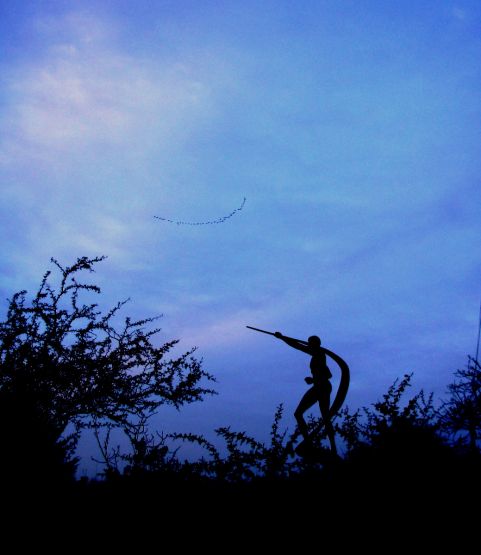 "ltimo vuelo de la tarde." de Jorge Berterretch