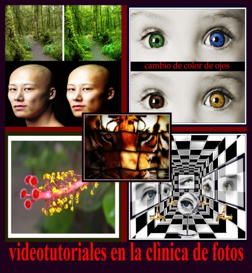 "VIDEOS EN LA CLNICA" de Marcelo Alcides Sanchez