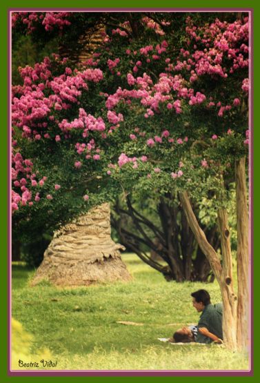 "Amor en los parques" de Beatriz Vidal