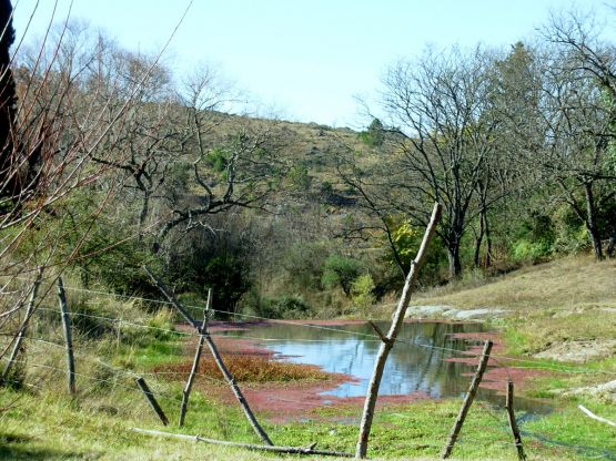 "Paralelas serranas" de Jorge Berterretch