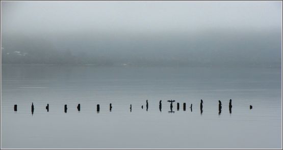 "Niebla" de Ricardo Baigorria