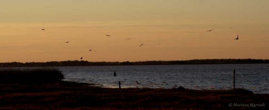 "Una tarde de pesca" de Mariana Marziali