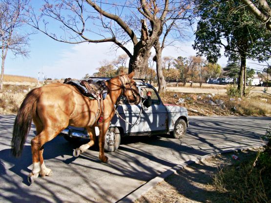 "A paso de auto" de Martha A. Moreschi