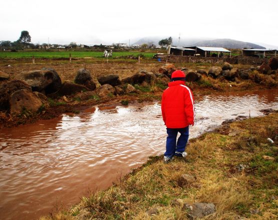 "A la orilla del arroyo" de Alma Delia Franco Cacho