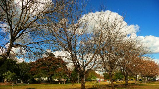 "tarde de invierno..." de Noemi Gomez