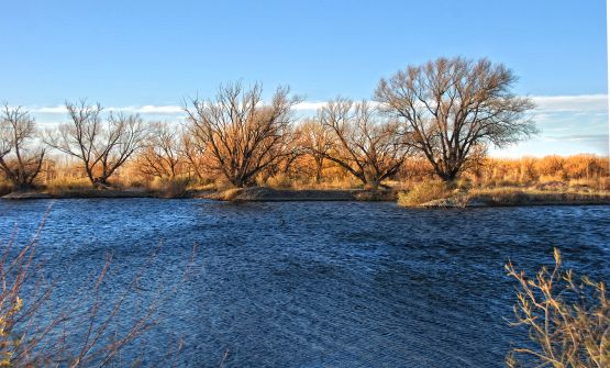 "`Viento en la laguna`" de Jorge A. Cceres