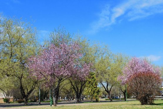 "Colores primavera" de Valeria Soto