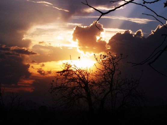 "Entre el cielo y el suelo" de Alma Delia Franco Cacho