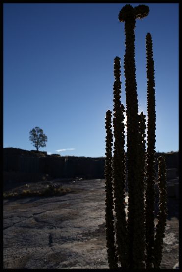 "desierto" de Ezequiel M. Nasello