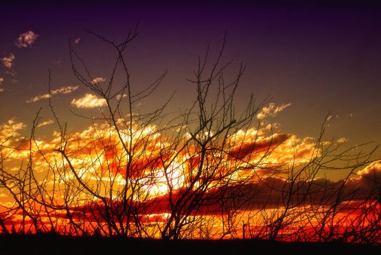 "`Espinas entre el sol`" de Jorge A. Cceres