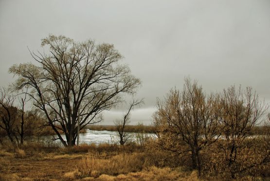 "dia d lluvia" de Jorge A. Cceres