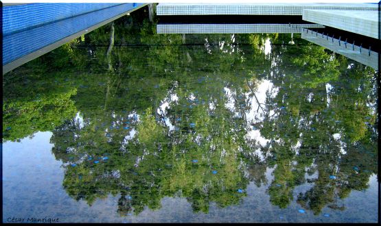 "Reflejos del Verano" de Csar Manrique