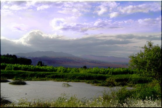 "Laguna y Juncos" de Csar Manrique