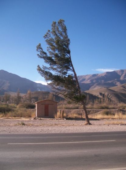 "Accin elica (camino a Humahuaca)" de Gladys Taboro