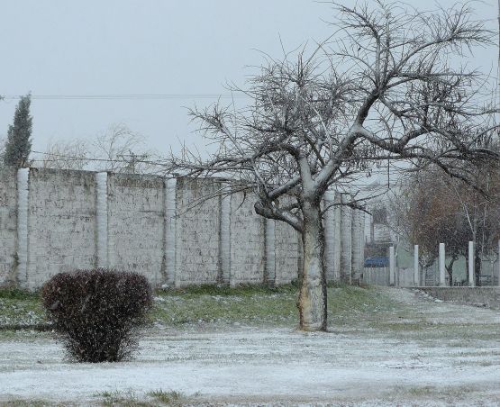 "Nieve en Bolivar..." de Patricia Gutierrez